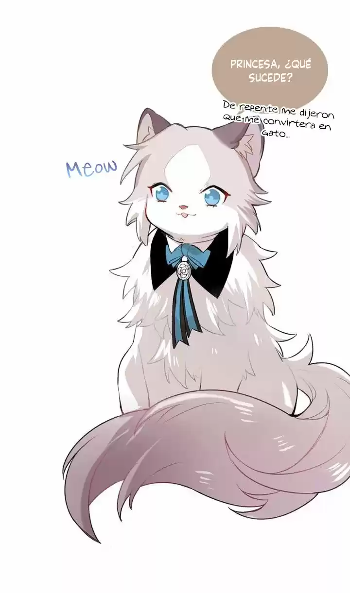 Meow! Please Help, Manager! - Capítulo 40 - Página 41 - LectorTMOo