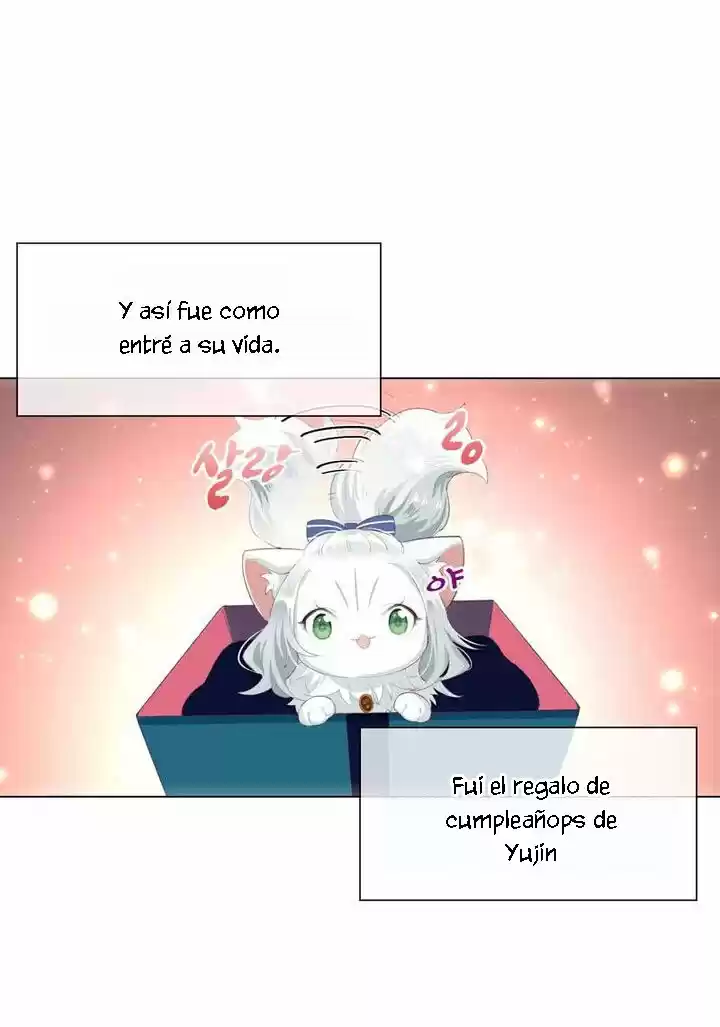 Meow! Please Help, Manager! - Capítulo 41 - Página 18 - LectorTMOo