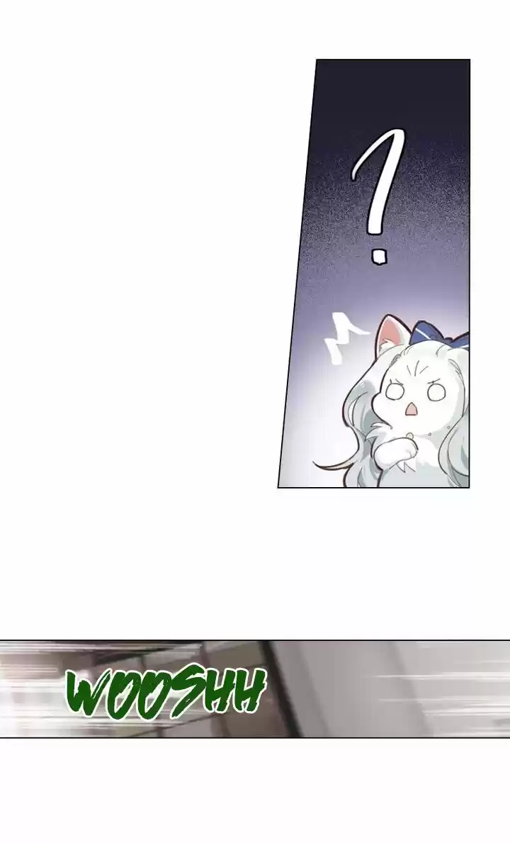 Meow! Please Help, Manager! - Capítulo 42 - Página 19 - LectorTMOo