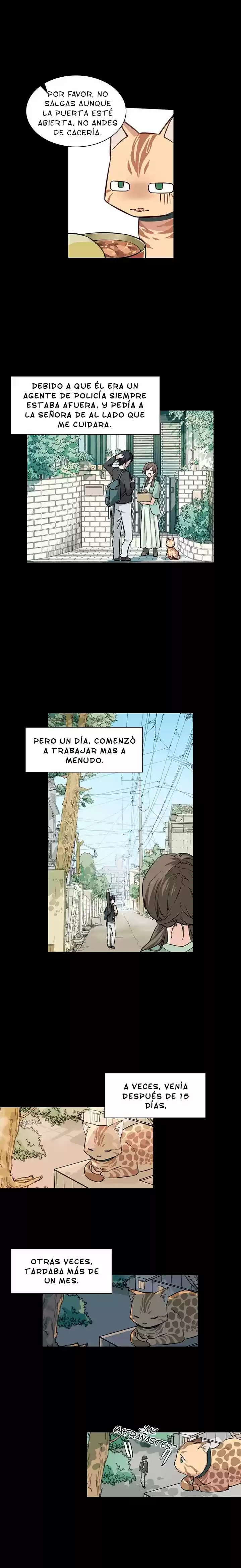 Meow! Por Favor Ayúdanos Gerente! - Capítulo 11 - Página 5 - LectorTMOo
