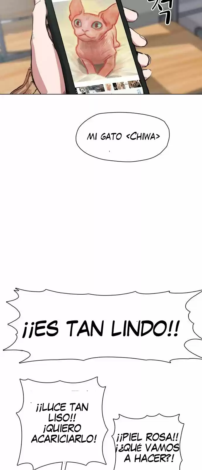 Meow Rangers - Capítulo 1 - Página 19 - LectorTMOo