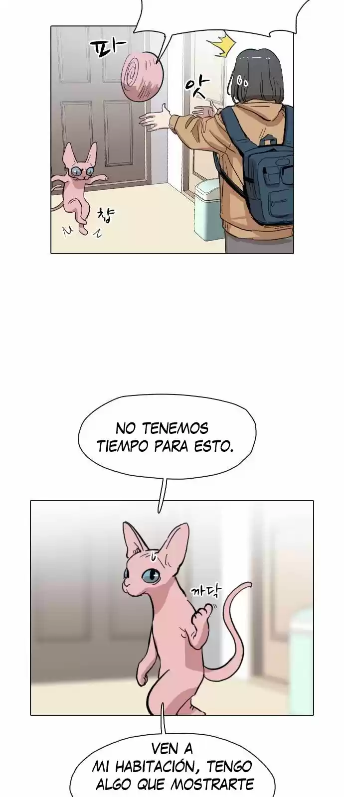 Meow Rangers - Capítulo 1 - Página 65 - LectorTMOo