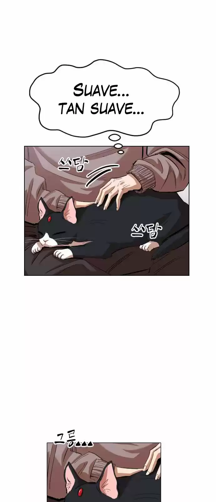 Meow Rangers - Capítulo 11 - Página 12 - LectorTMOo