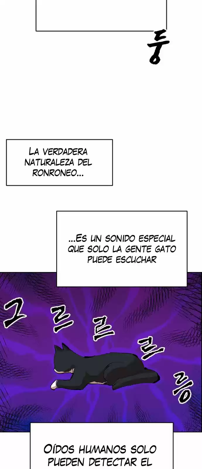 Meow Rangers - Capítulo 11 - Página 15 - LectorTMOo
