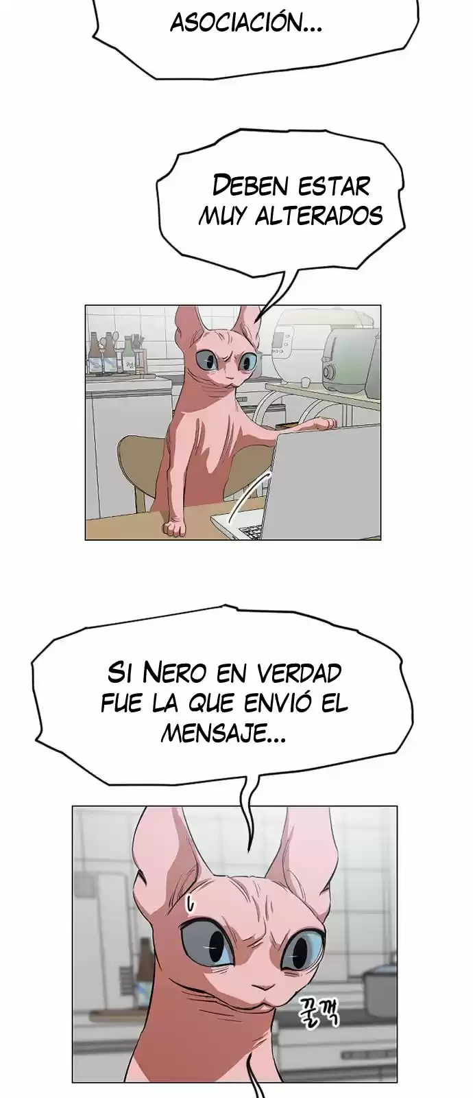 Meow Rangers - Capítulo 11 - Página 26 - LectorTMOo