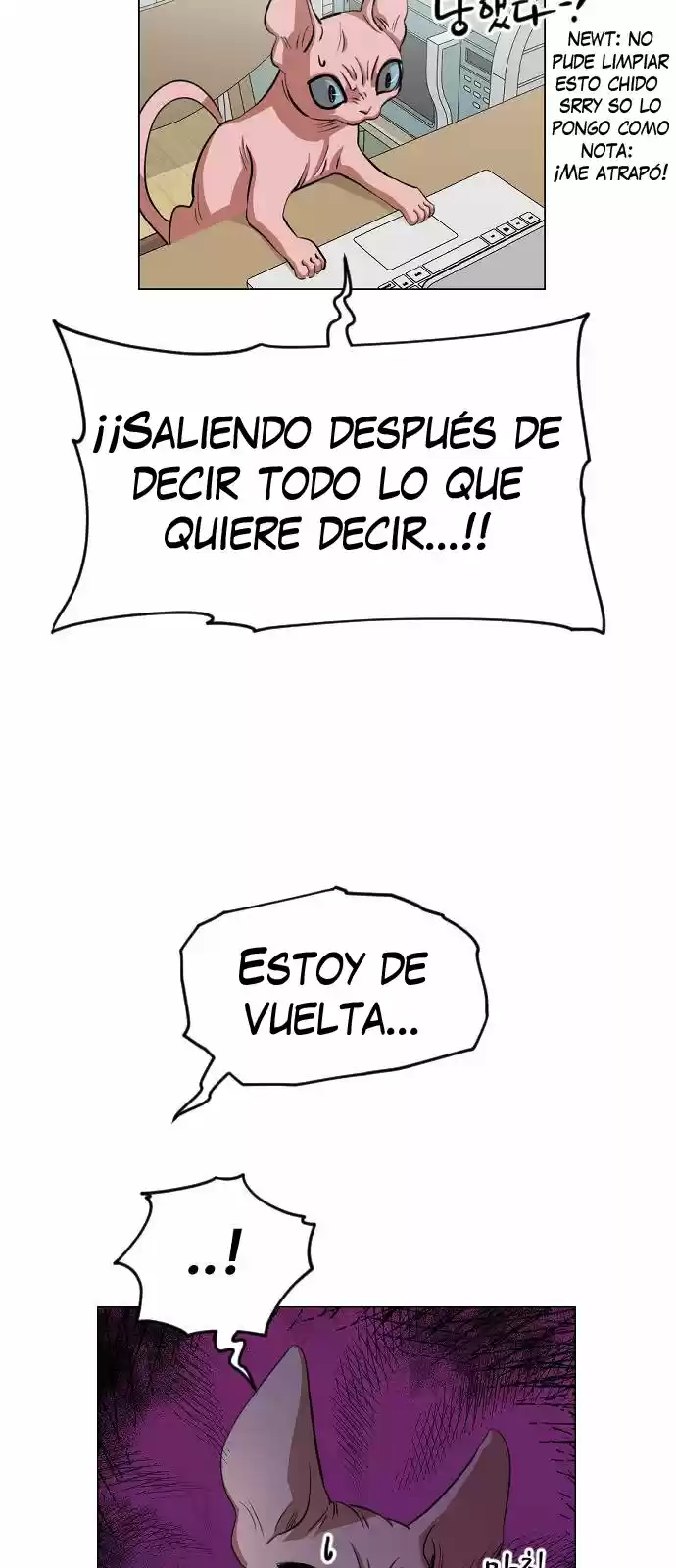 Meow Rangers - Capítulo 11 - Página 42 - LectorTMOo