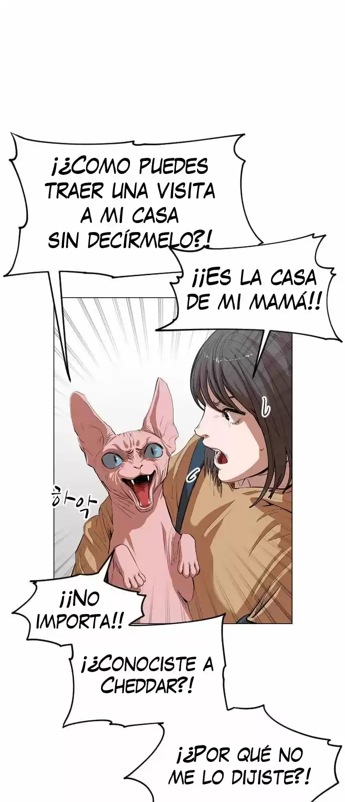 Meow Rangers - Capítulo 11 - Página 50 - LectorTMOo