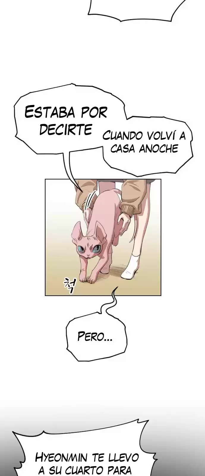 Meow Rangers - Capítulo 11 - Página 51 - LectorTMOo
