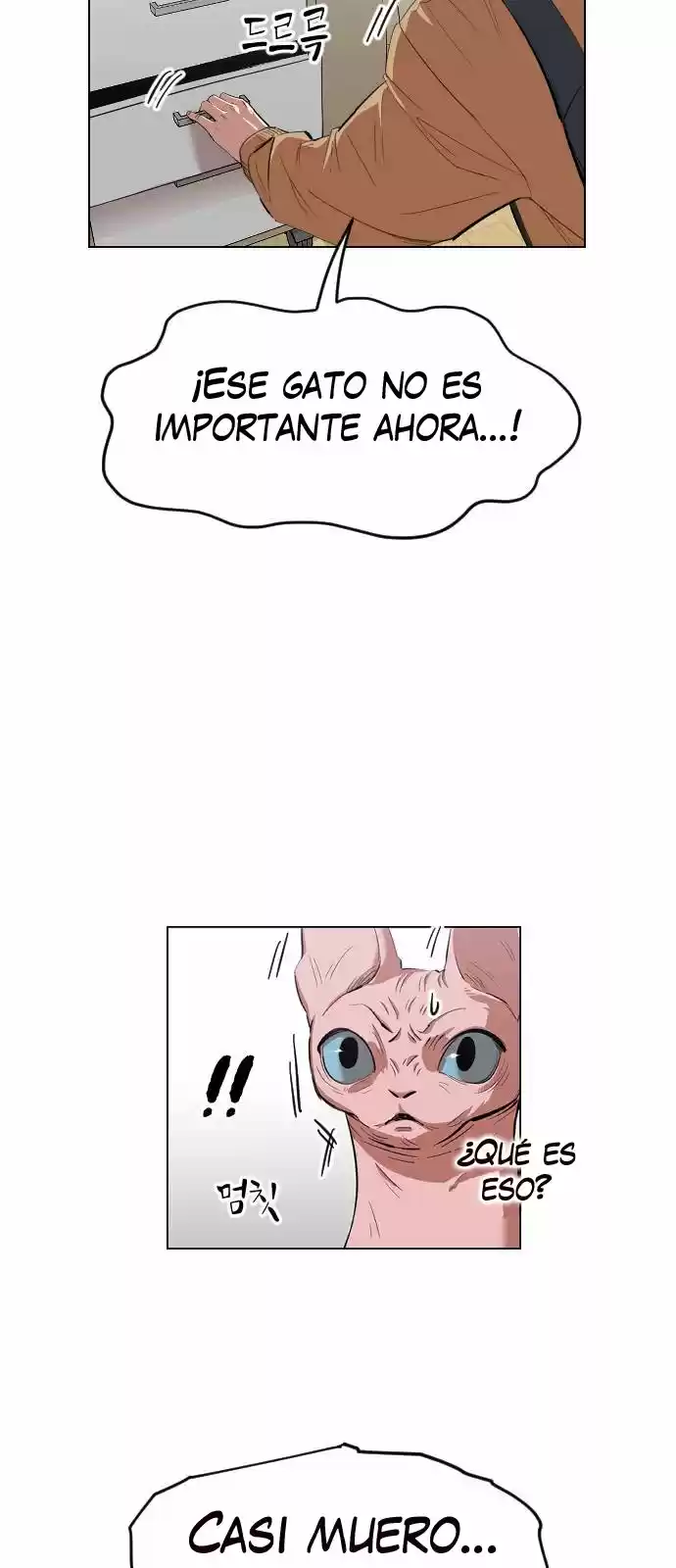 Meow Rangers - Capítulo 11 - Página 53 - LectorTMOo