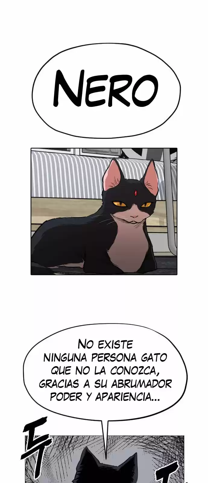 Meow Rangers - Capítulo 12 - Página 2 - LectorTMOo