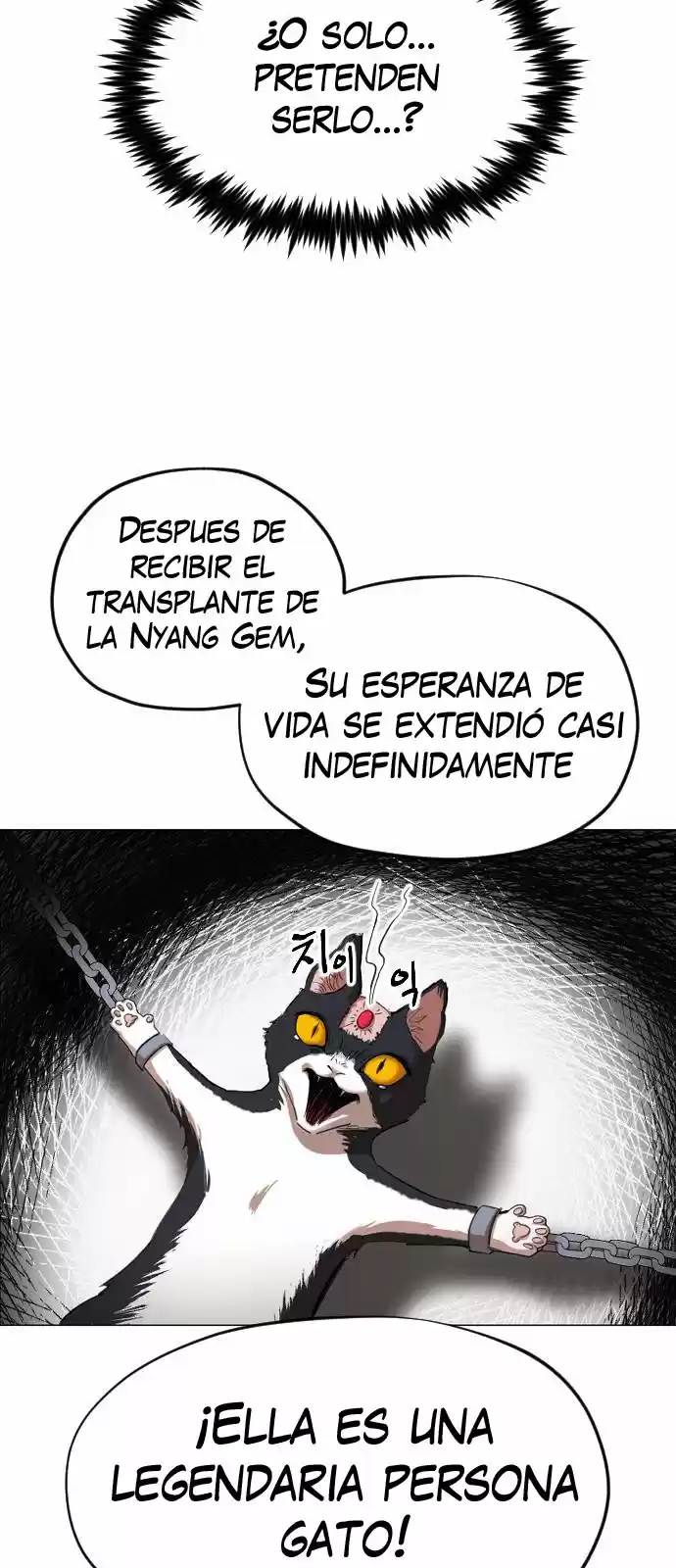 Meow Rangers - Capítulo 12 - Página 4 - LectorTMOo