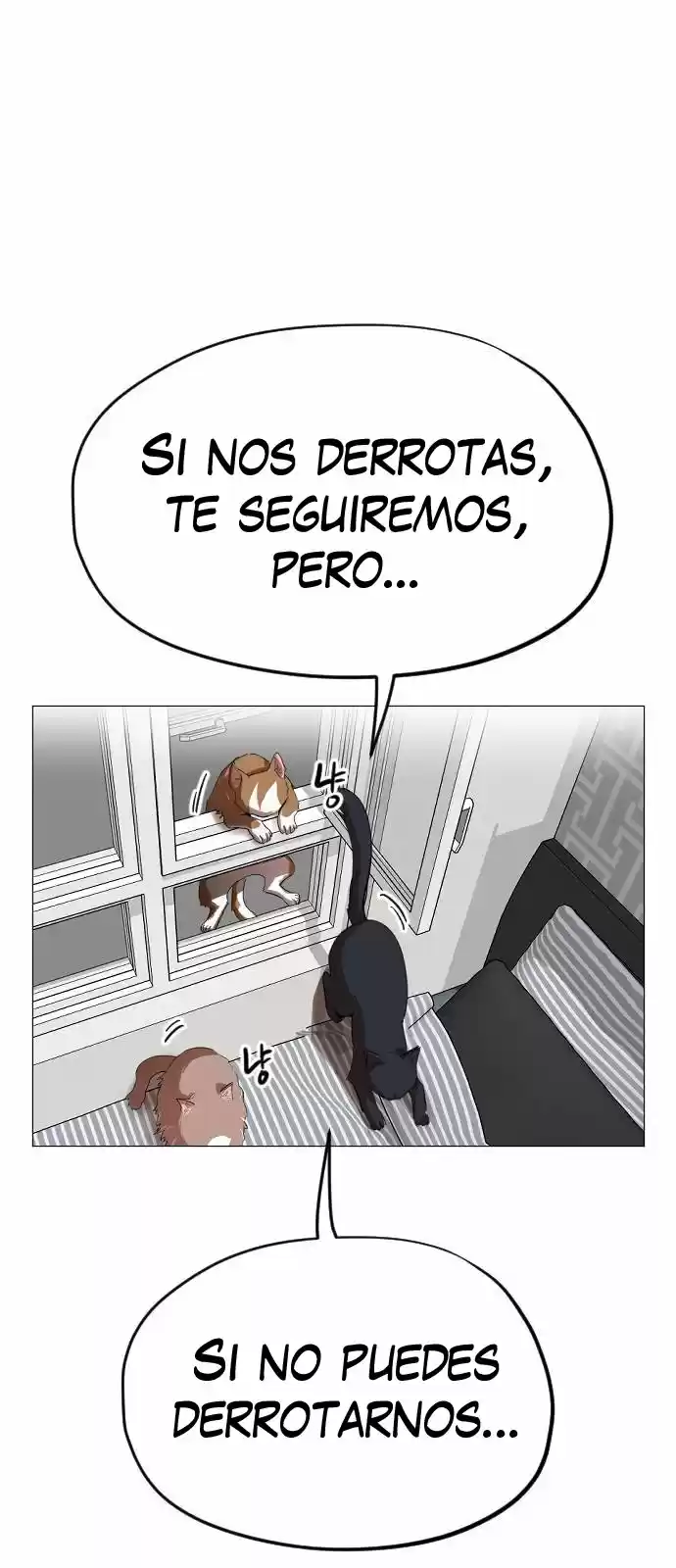 Meow Rangers - Capítulo 12 - Página 8 - LectorTMOo