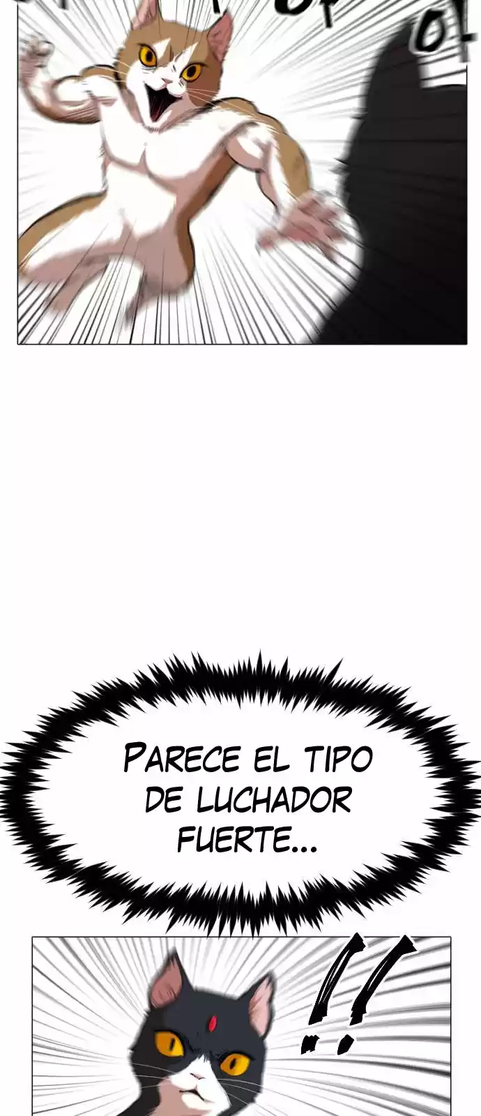 Meow Rangers - Capítulo 12 - Página 12 - LectorTMOo