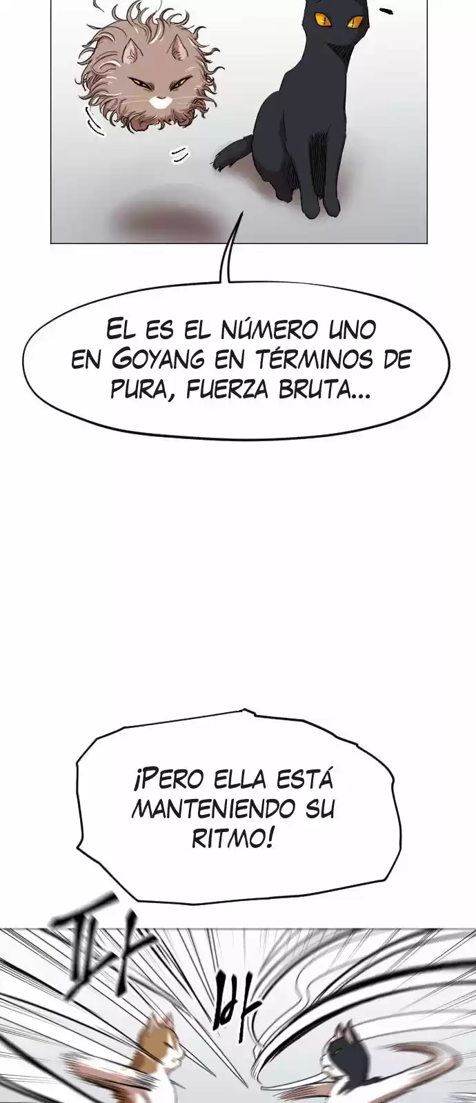 Meow Rangers - Capítulo 12 - Página 15 - LectorTMOo