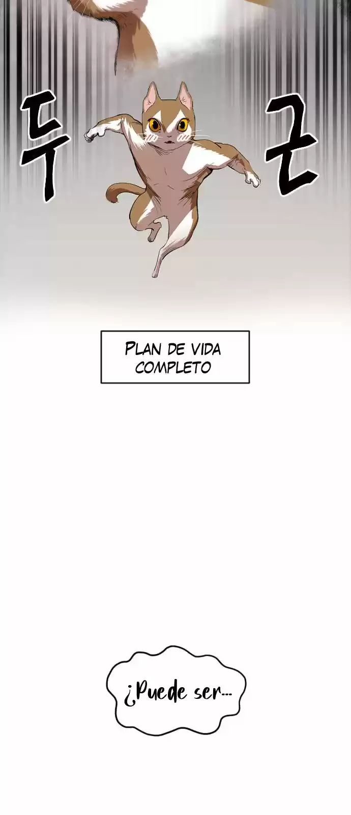 Meow Rangers - Capítulo 12 - Página 24 - LectorTMOo