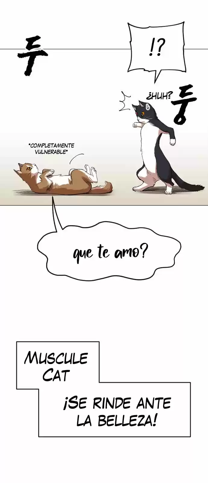 Meow Rangers - Capítulo 12 - Página 25 - LectorTMOo