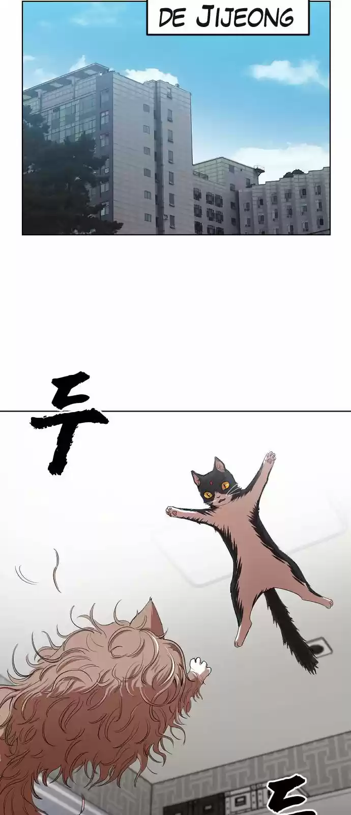 Meow Rangers - Capítulo 13 - Página 21 - LectorTMOo