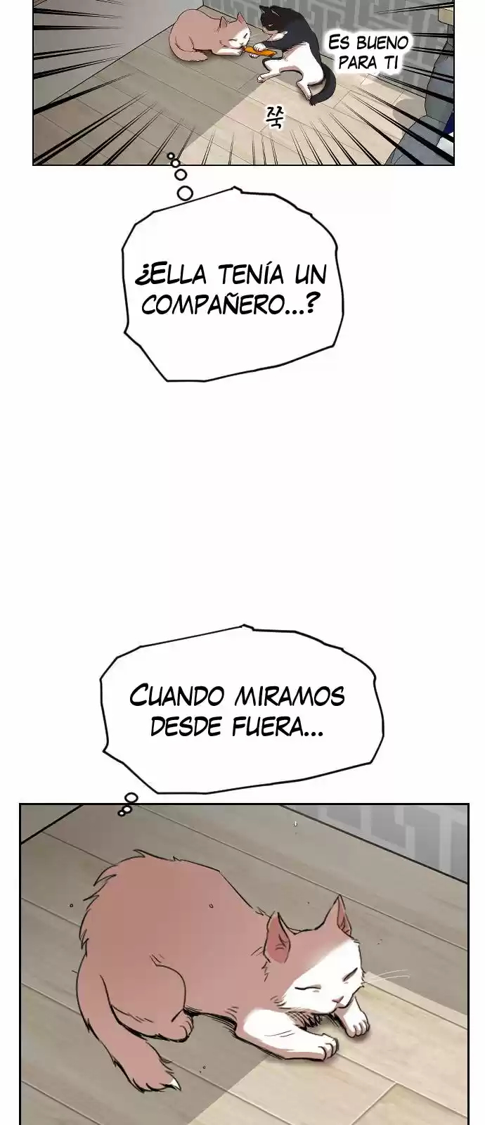 Meow Rangers - Capítulo 13 - Página 42 - LectorTMOo