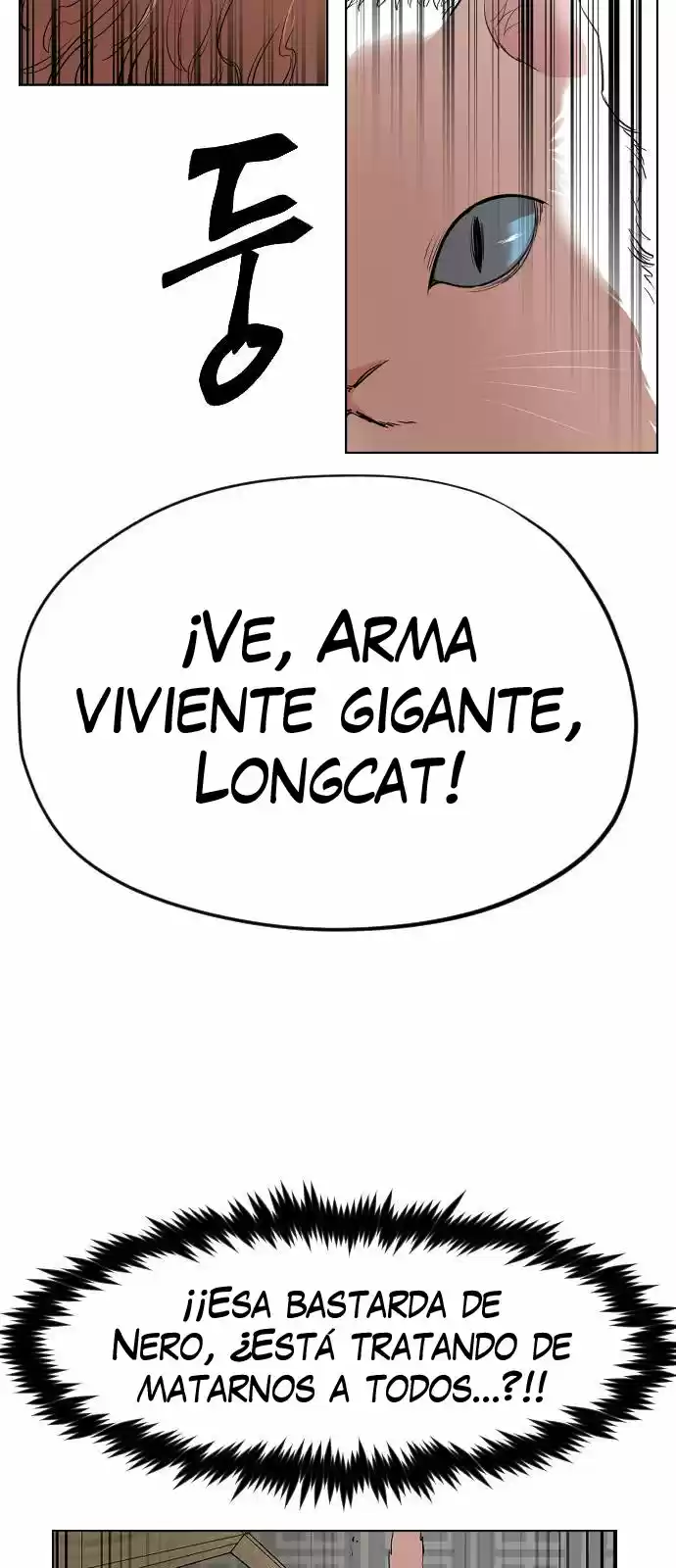 Meow Rangers - Capítulo 13 - Página 47 - LectorTMOo