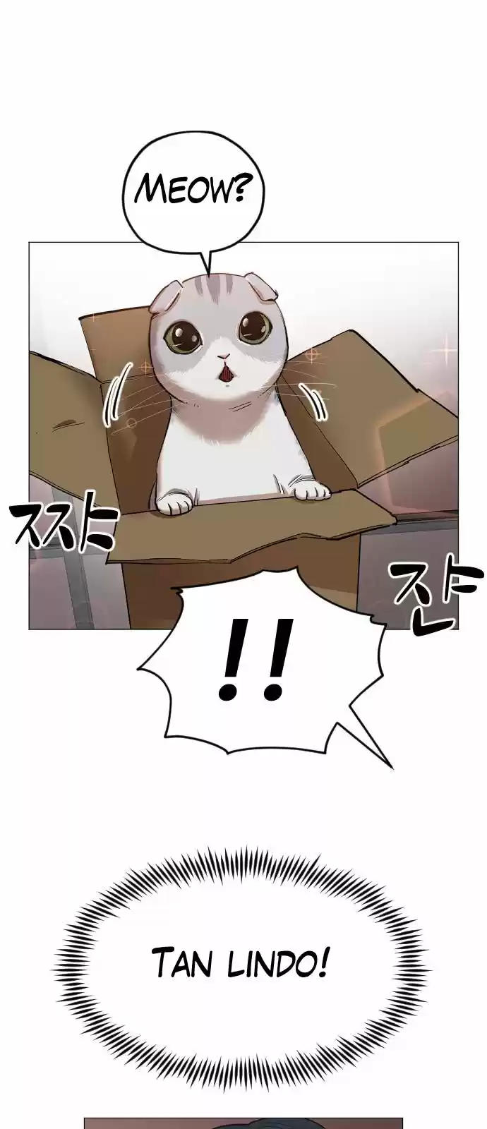 Meow Rangers - Capítulo 14 - Página 29 - LectorTMOo