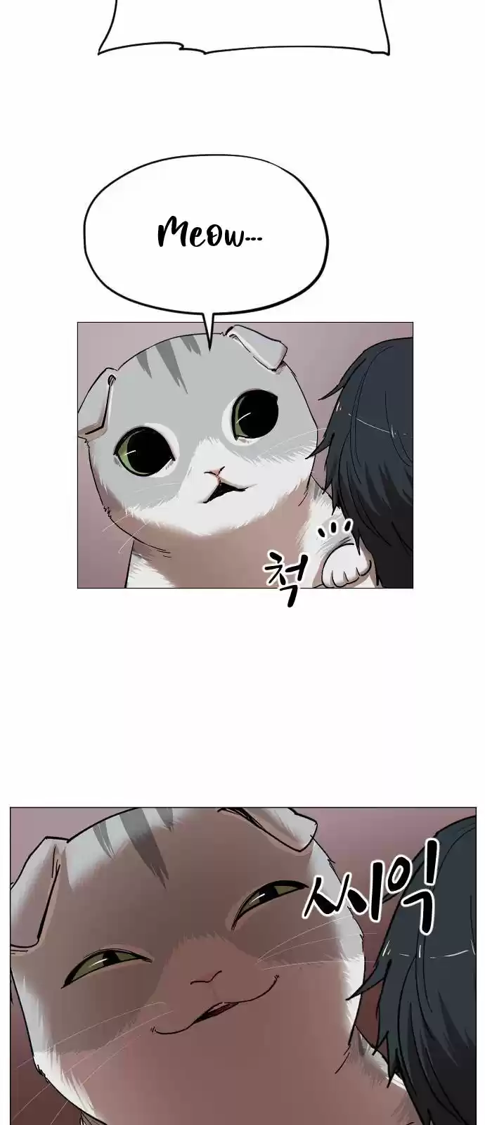 Meow Rangers - Capítulo 14 - Página 30 - LectorTMOo