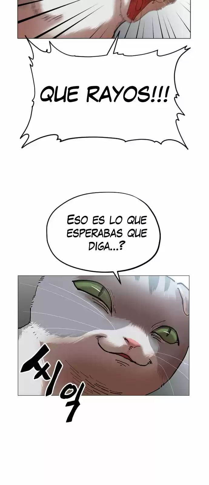 Meow Rangers - Capítulo 14 - Página 47 - LectorTMOo