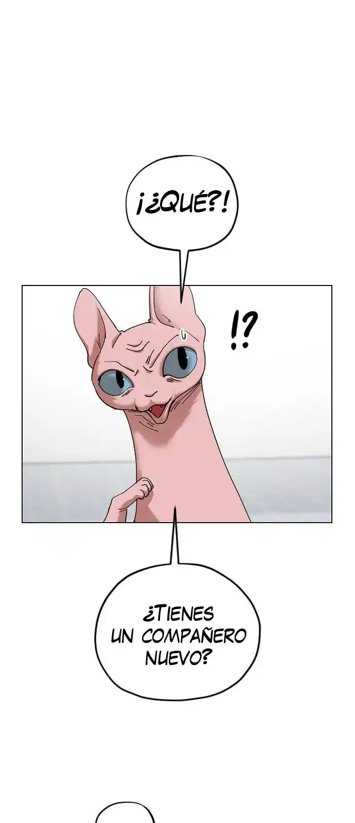 Meow Rangers - Capítulo 15 - Página 2 - LectorTMOo