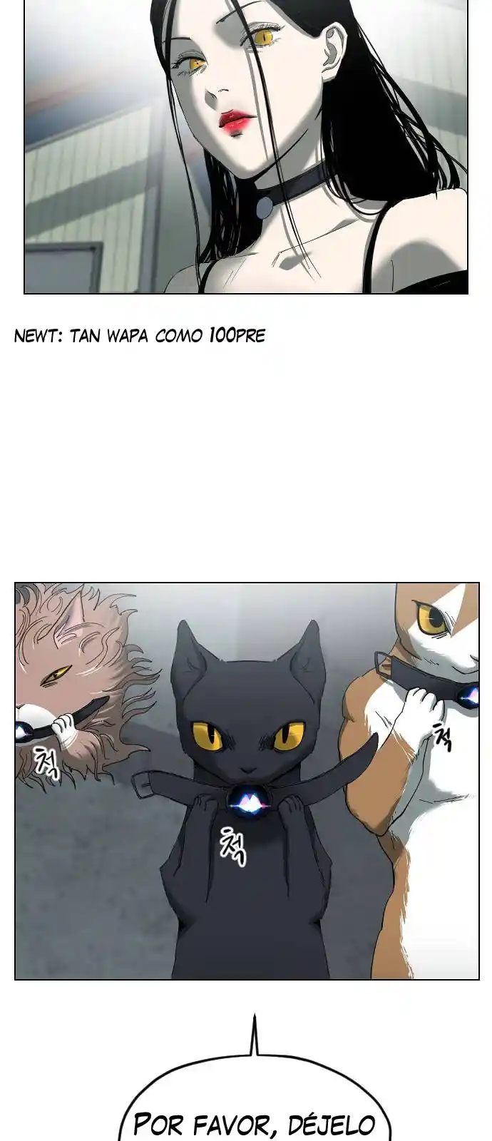 Meow Rangers - Capítulo 15 - Página 20 - LectorTMOo
