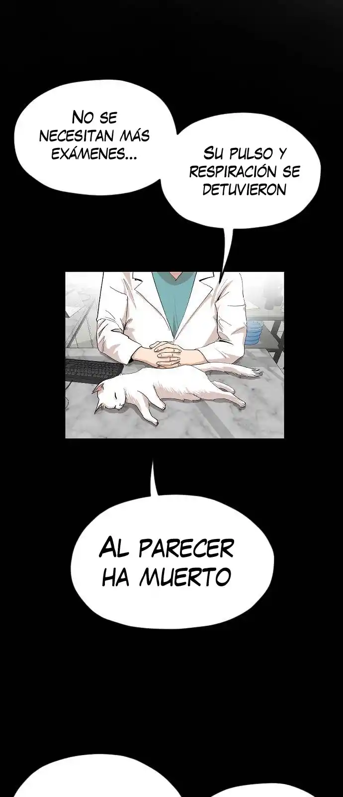 Meow Rangers - Capítulo 17 - Página 22 - LectorTMOo