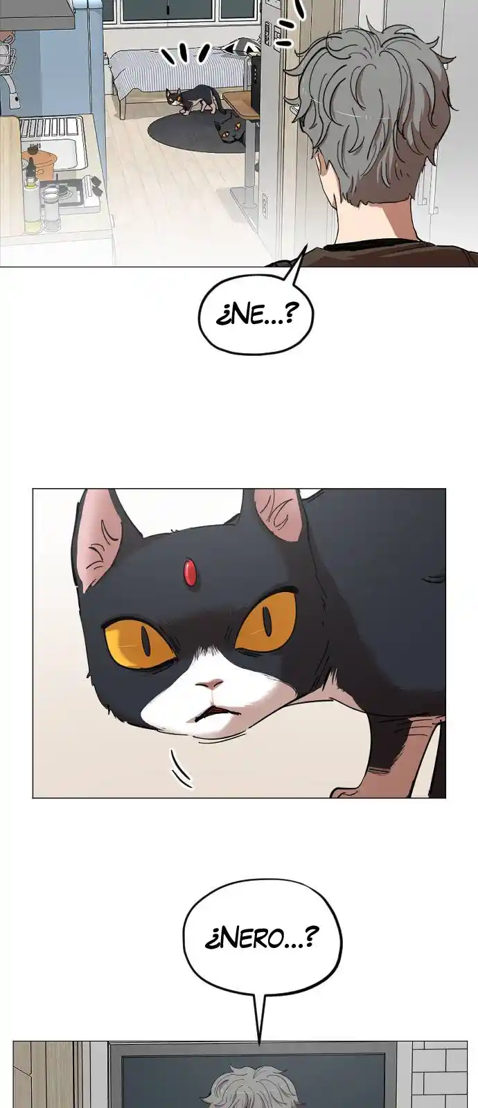 Meow Rangers - Capítulo 17 - Página 32 - LectorTMOo