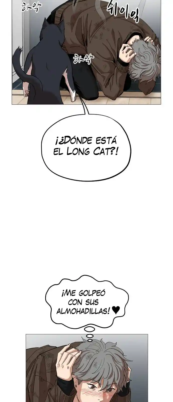Meow Rangers - Capítulo 17 - Página 38 - LectorTMOo