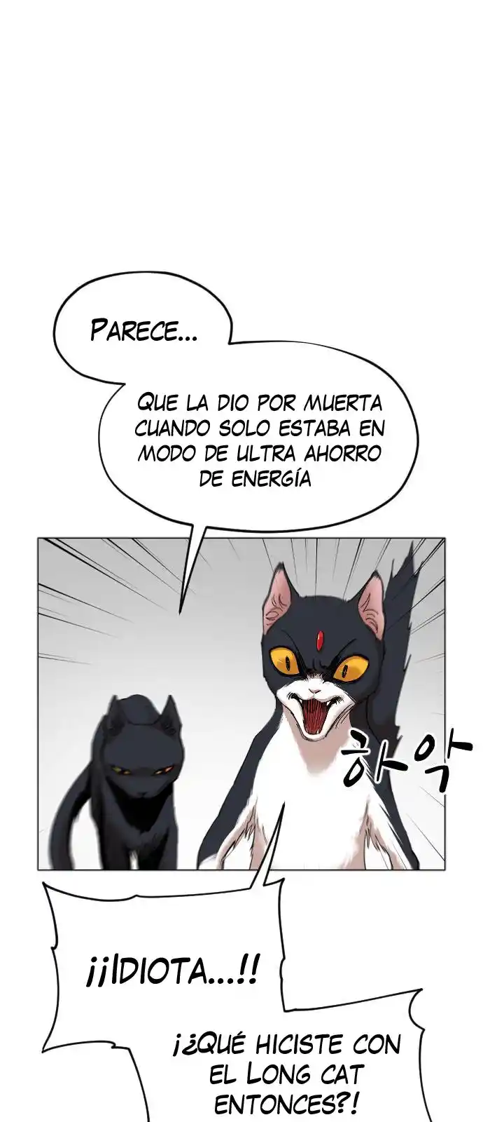 Meow Rangers - Capítulo 17 - Página 43 - LectorTMOo