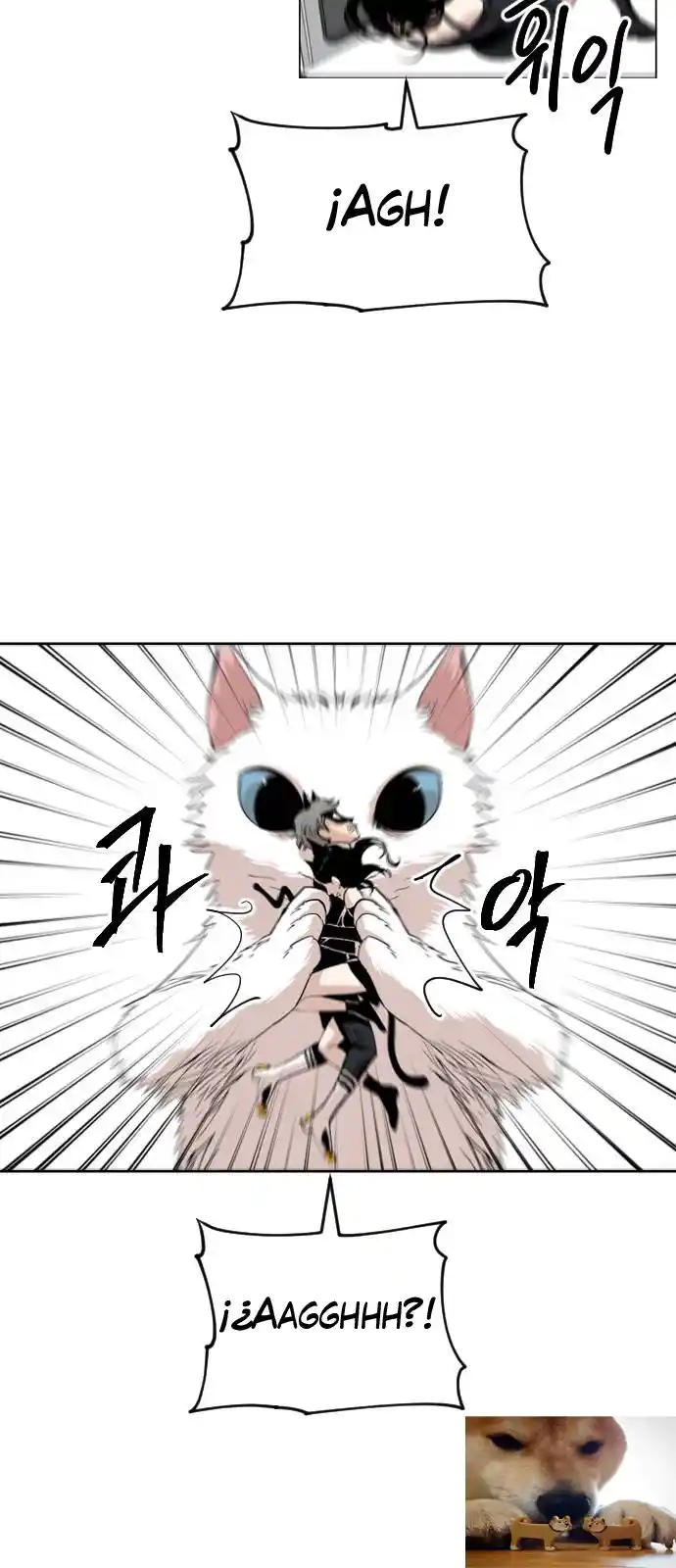 Meow Rangers - Capítulo 23 - Página 41 - LectorTMOo