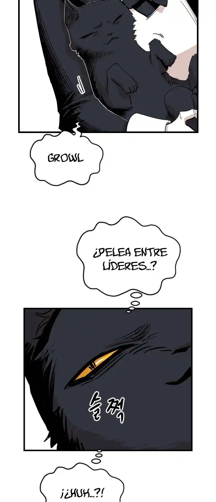 Meow Rangers - Capítulo 24 - Página 42 - LectorTMOo