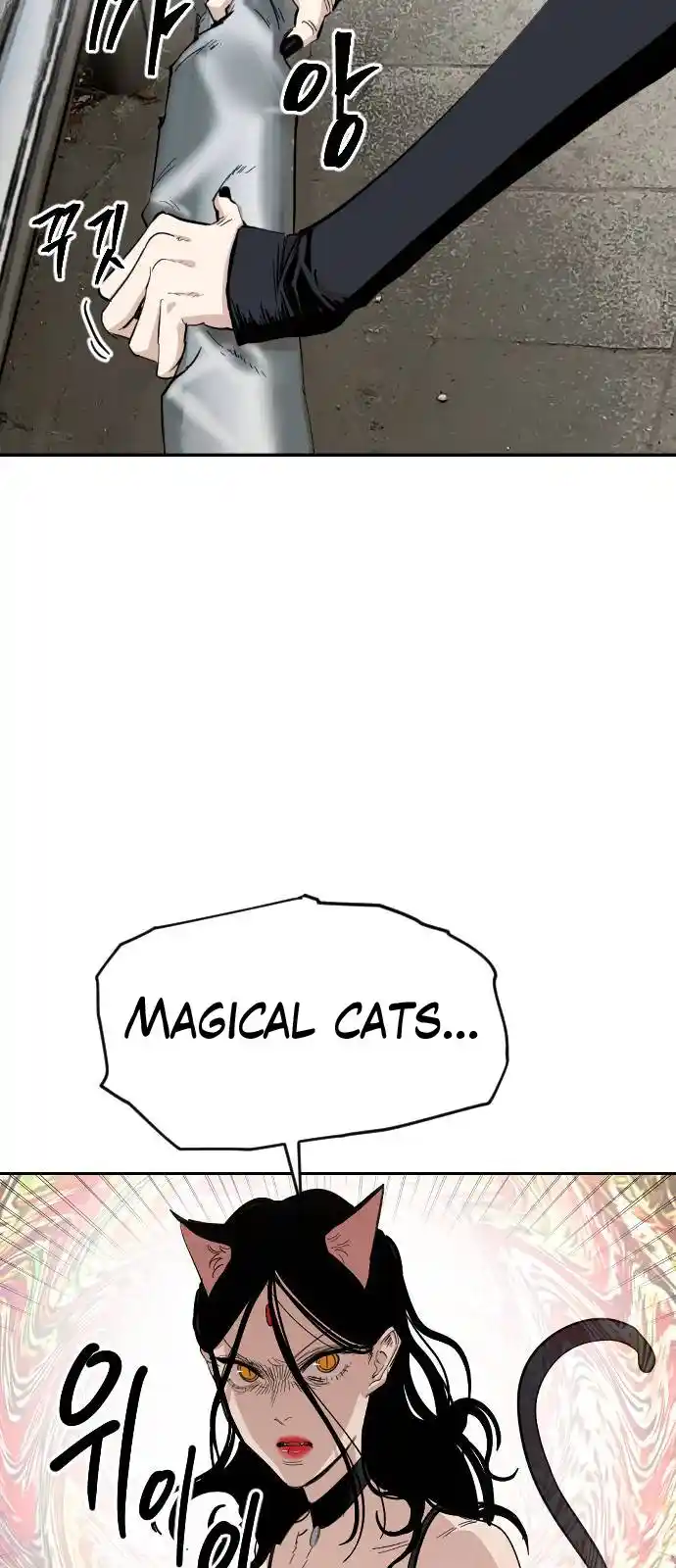 Meow Rangers - Capítulo 25 - Página 38 - LectorTMOo