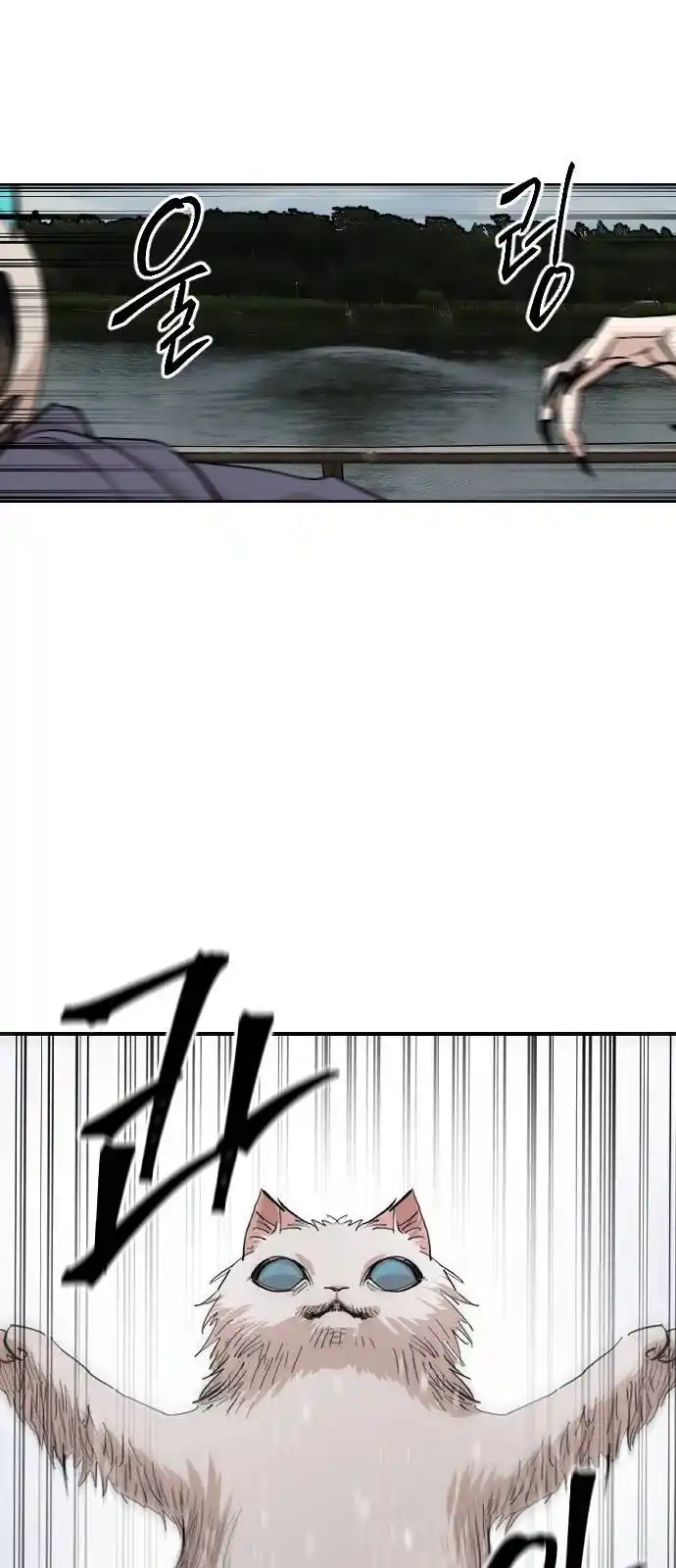 Meow Rangers - Capítulo 25 - Página 44 - LectorTMOo