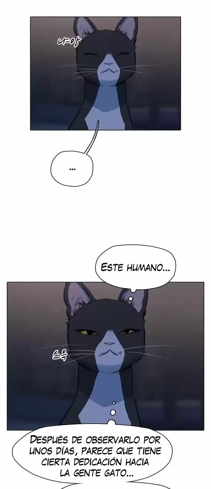 Meow Rangers - Capítulo 3 - Página 37 - LectorTMOo