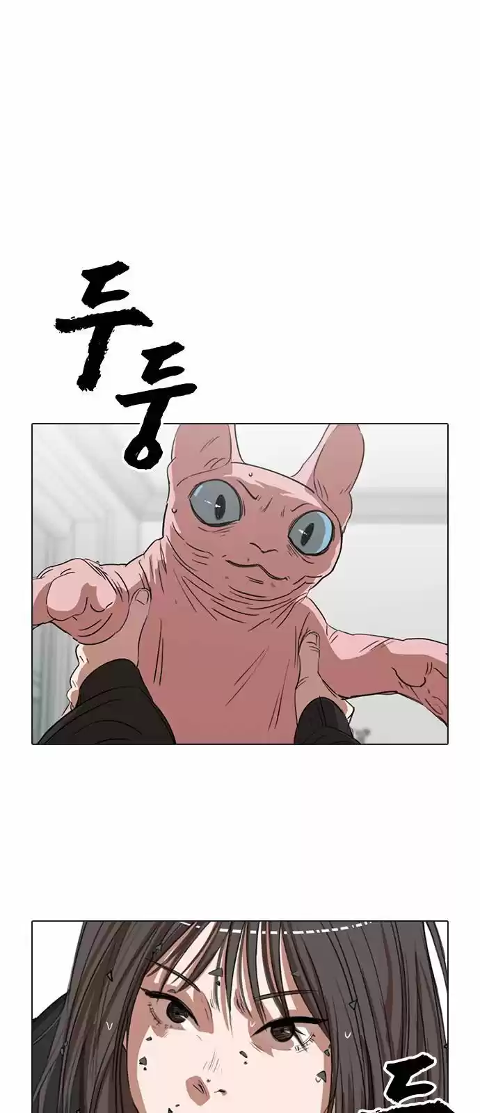 Meow Rangers - Capítulo 5 - Página 2 - LectorTMOo