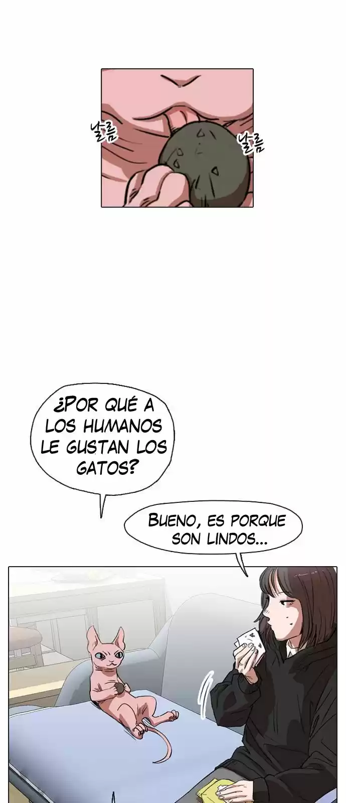 Meow Rangers - Capítulo 5 - Página 4 - LectorTMOo