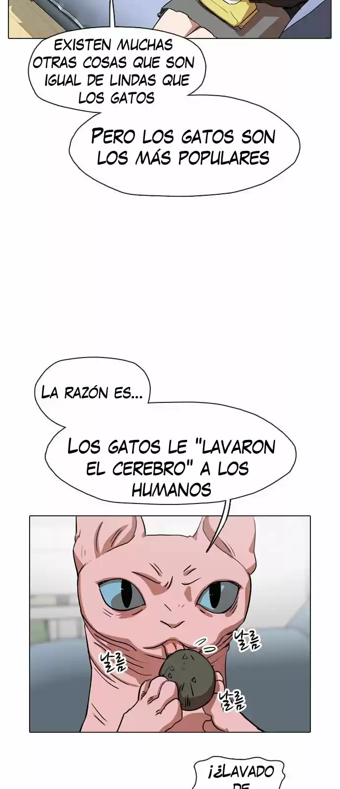 Meow Rangers - Capítulo 5 - Página 5 - LectorTMOo