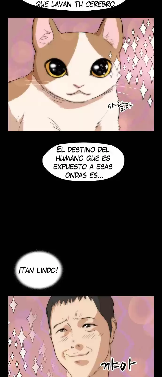 Meow Rangers - Capítulo 5 - Página 8 - LectorTMOo