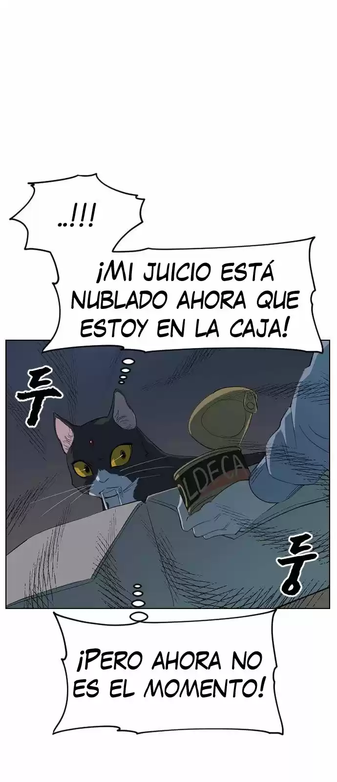 Meow Rangers - Capítulo 9 - Página 35 - LectorTMOo