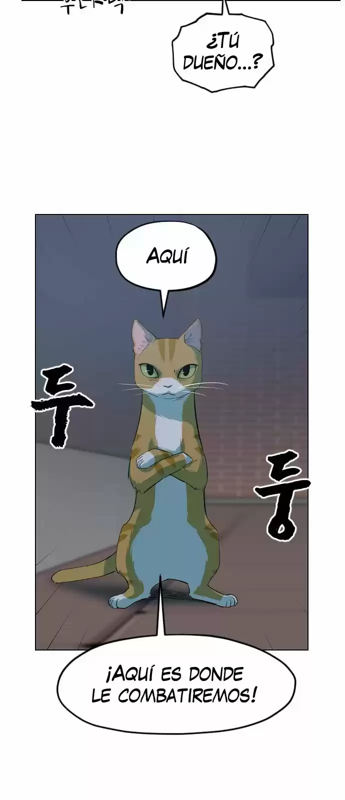 Meow Rangers - Capítulo 9 - Página 46 - LectorTMOo