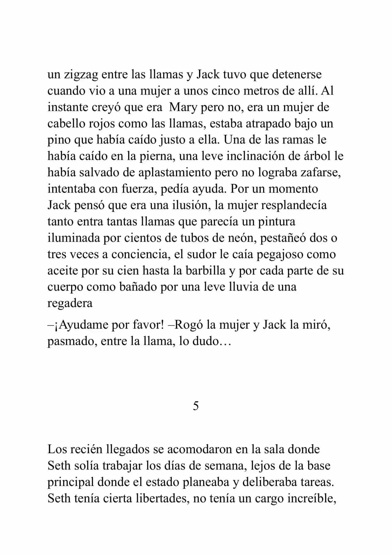 Meteora (Novela) - Capítulo 2 - Página 23 - LectorTMOo