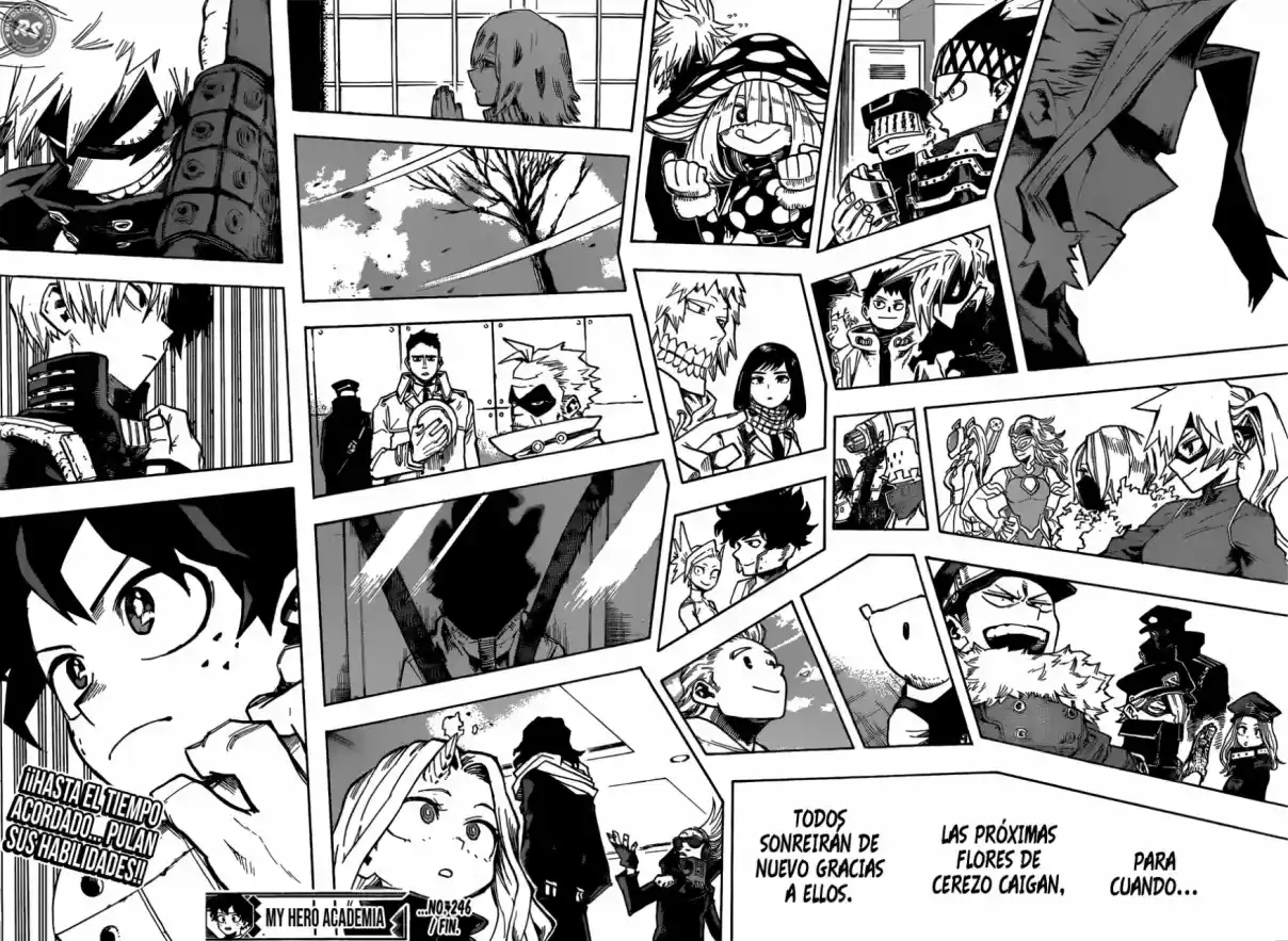 Mi Academia De Héroe - Capítulo 246 - Página 15 - LectorTMOo