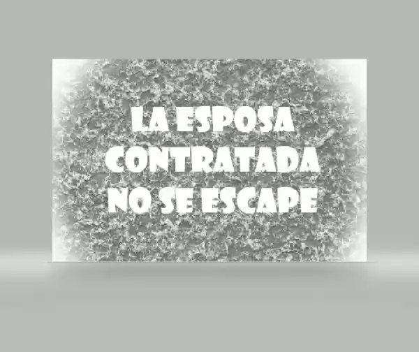 Mi Esposa Por Contrato Quiere Huir. - Capítulo 1 - Página 1 - LectorTMOo