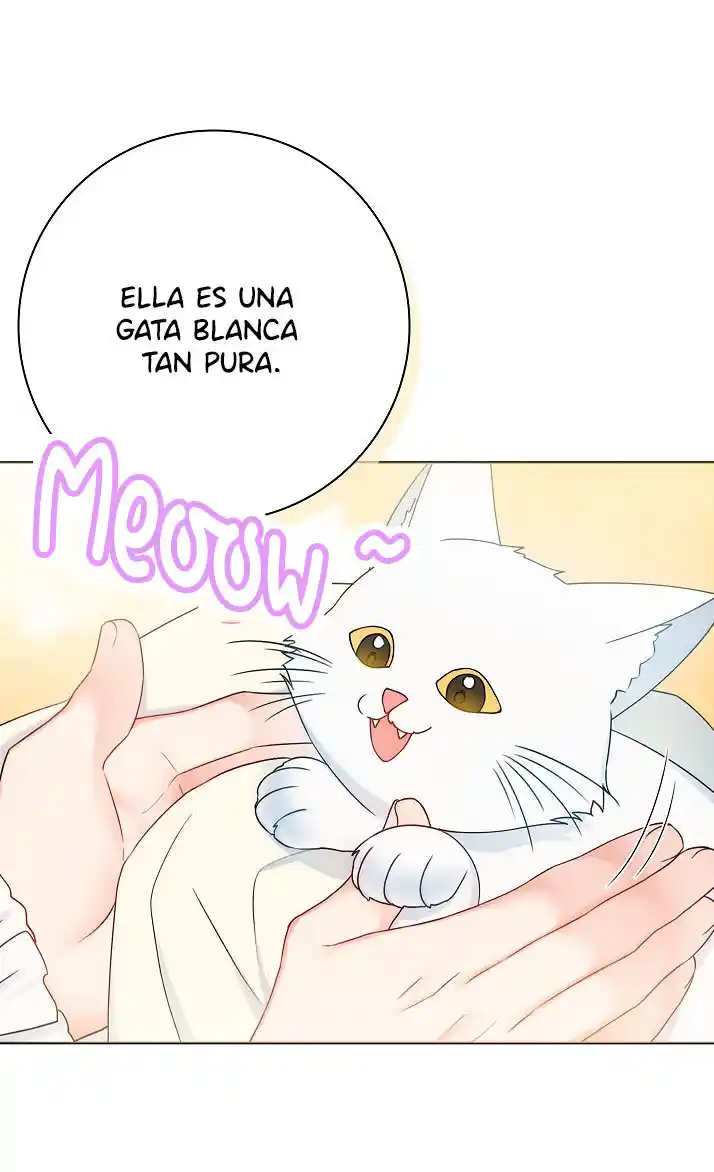¿Mi Esposo Esta Enfermo? Soy Su Esposa Por Contrato. - Capítulo 34 - Página 65 - LectorTMOo
