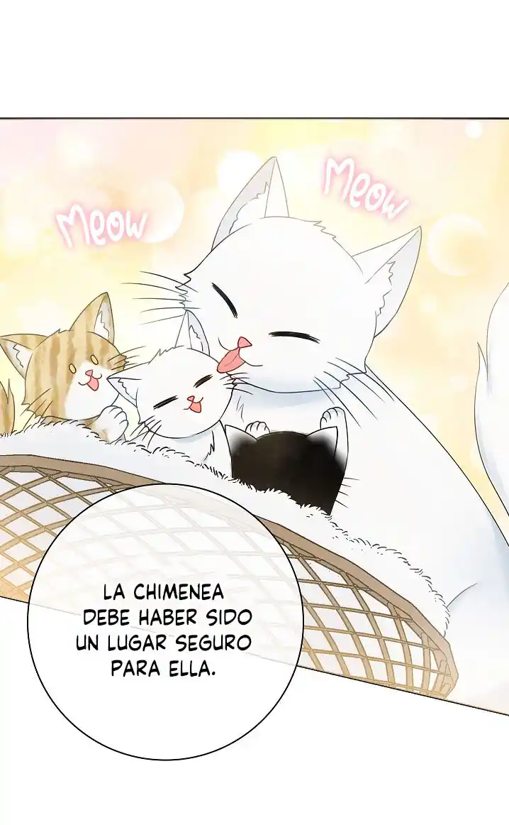 ¿Mi Esposo Esta Enfermo? Soy Su Esposa Por Contrato. - Capítulo 35 - Página 15 - LectorTMOo