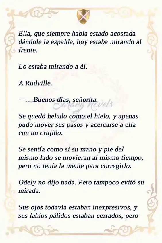 MI ESPOSO OCULTÓ SU REGRESIÓN, ASÍ QUE YO TAMBIÉN LA OCULTÉ (NOVELA) (Novela) capítulo 112 página 17