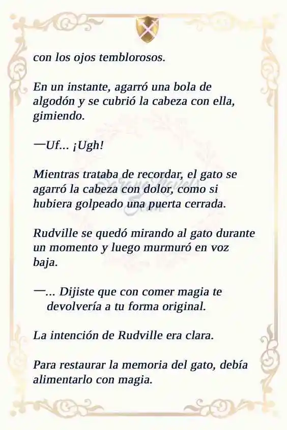 MI ESPOSO OCULTÓ SU REGRESIÓN, ASÍ QUE YO TAMBIÉN LA OCULTÉ (NOVELA) (Novela) capítulo 143 página 8